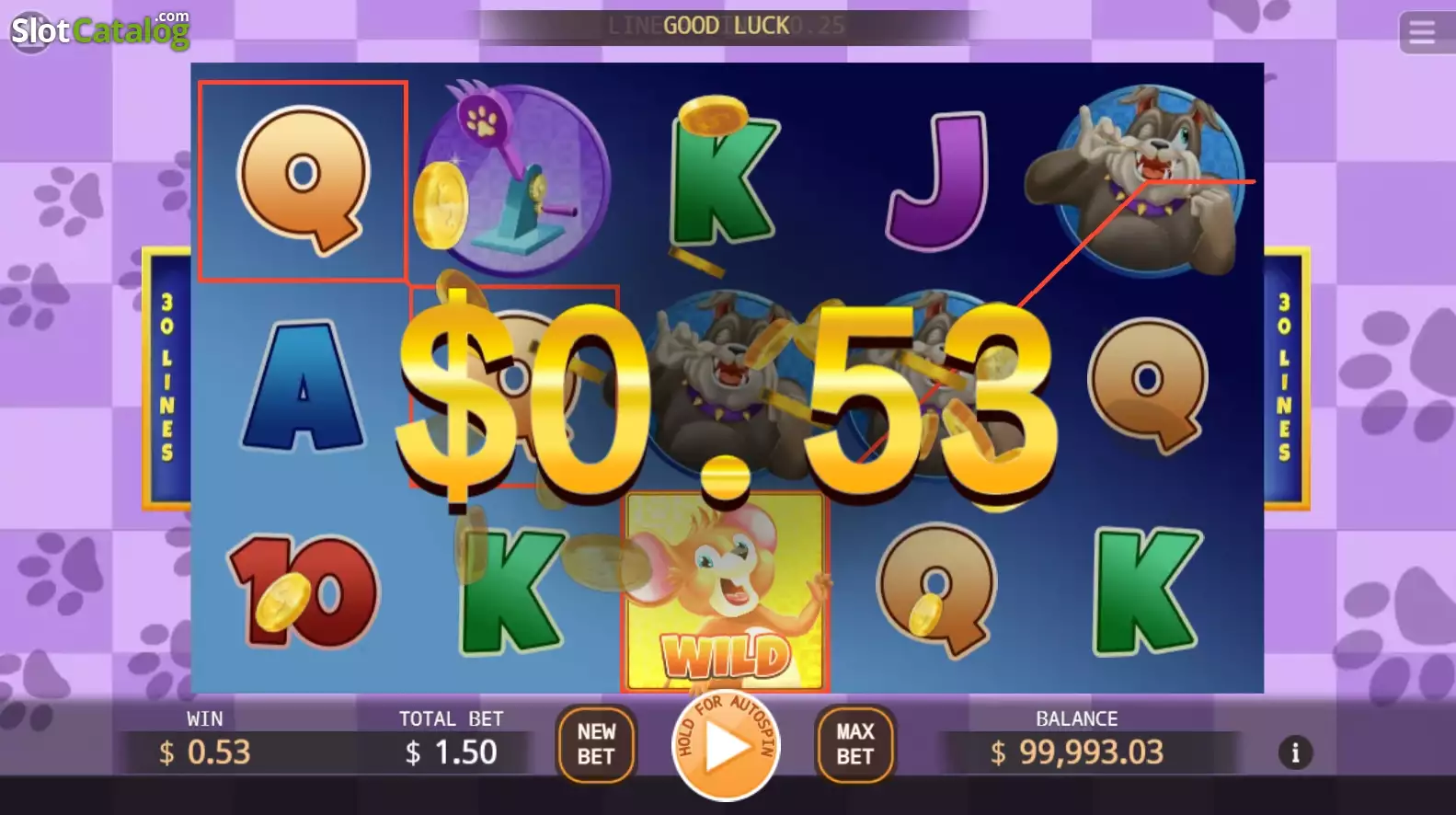 Cat and Mouse Screenshot