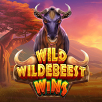 Wild Wildebeest Wins