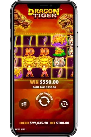 Dragon vs Tiger Screenshot